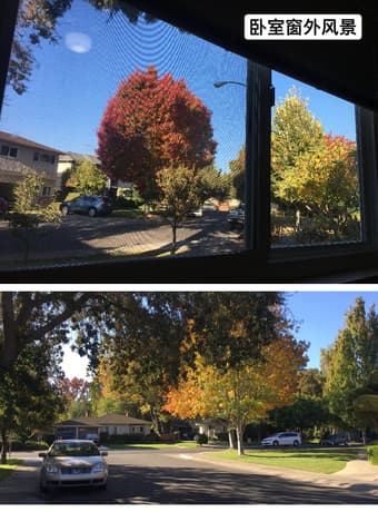 Menlo Park 2B1B其中一间卧室招女室友 2
