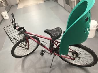 Specialized bike with child carrier 2