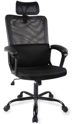 Ergonomic Office Chair  (In box) 2