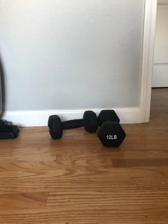 TWO 12LB DUMBBELLS - LIKE NEW 1