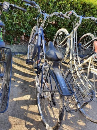 Single gear bicycle 1