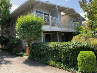 Room available in downtown Palo Alto w/ pets and large yard 1