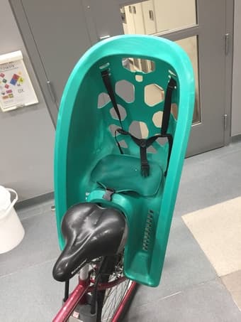 Child Carrier 1