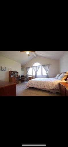 Furnished Master Bedroom Available from April 1st, Sunnyvale 2