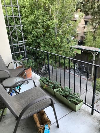 Looking for a roommate for a 2br/1ba apartment in MV 2