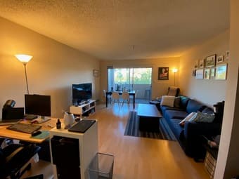 1BR/1BA near Campus Available Any Time, Fully Furnished 1