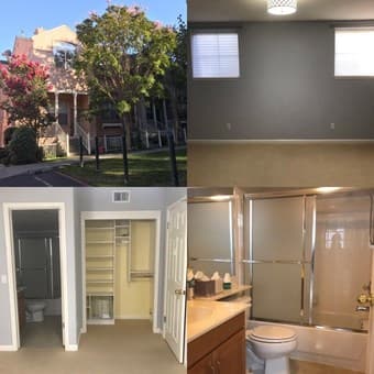 1 Room and Bath in 3 bed/3 bath townhouse 1