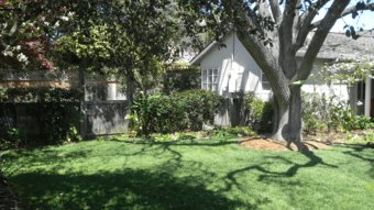 Lush Palo Alto House – Need Female Housemates! (3 rooms avail) 2