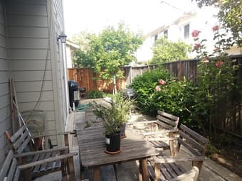Room in large house by the bay July 1st 2