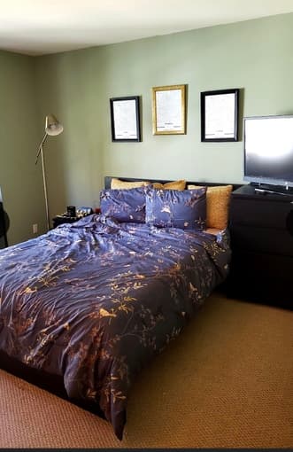 Summer Sublet 1 bed wv private bath available from July 1 - Sep 1 1