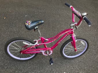 Kids/girls Schwinn 20" bike 2