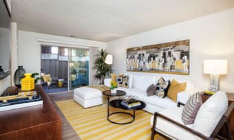 Mountain View 1B1B apartment; one month free +800 signing bonus 3