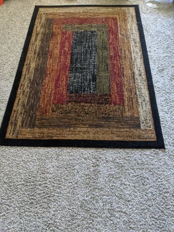 $30 rug like new 1