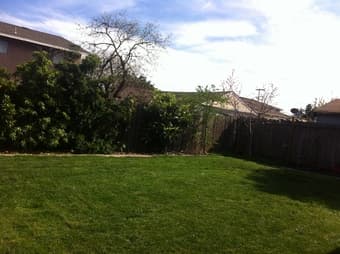 $950 private furnished room in single house of Menlo Park rent now 1