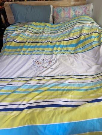 High Thread Count Luxury Queen Blanket Sheet Cover 1
