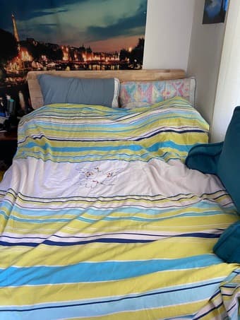High Thread Count Luxury Queen Blanket Sheet Cover 2