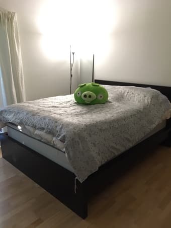 Ikea MALM bed frame (queen) + Sealy firm mattress + box spring 2