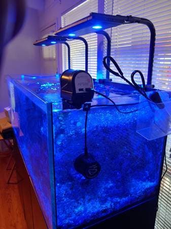 RedSea Reefer XL525 + Aquarium Essentials 3
