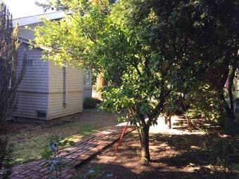 SUNNY STUDIO Downton Palo Alto - AVAIL NOW - Month to Month 2