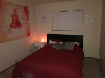 Queen sized classy dark brown bed frame and mattress 2
