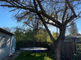 $800 1 bed/shared bath 2