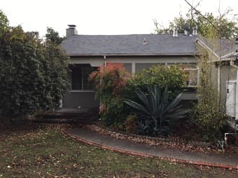 $800 1 bed/shared bath 2