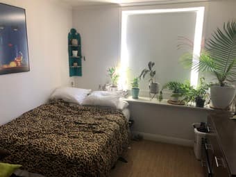Room available in 2 bedroom apartment in Bernal Heights, San Francisco 1
