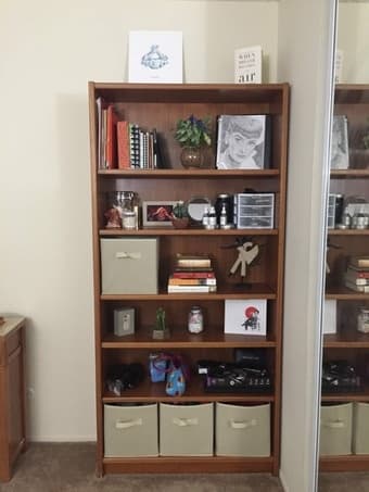 Danish teak bookcase 2