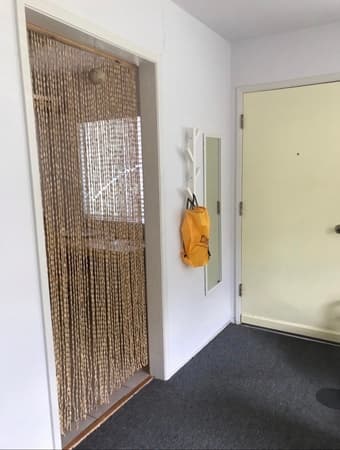Wooden beaded door curtain 1