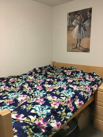 Duvet insert comforter for sale! 1