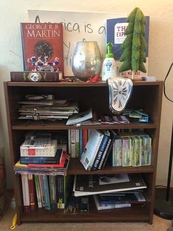 Bookshelves 2