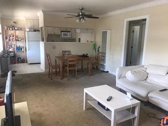 $1375 room in 2 bed 1 bath apartment in midtown (palo alto) 3