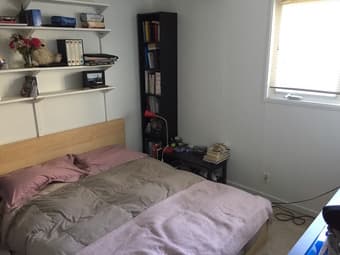 Room Opening in Spacious Palo Alto House (Move-In  August – 1st Sept) 2