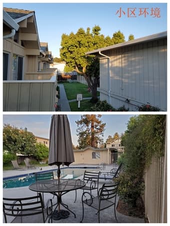 罕有物美价廉复式两层Town house @Mountain view  2B 1.5B招舍友 1
