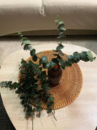 Faux eucalyptus for home decor 2
