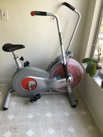 Schwinn AirDyne2 1