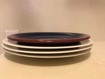 Dinner plates 1