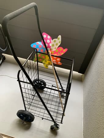 Shopping cart 1