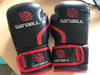 Sanabul Boxing Gloves 1