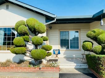 Rooms in spacious house in SSF Co-op 1