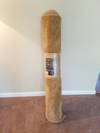 New 4 x 6 ft. Area Rug 1