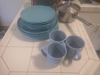 plate set - 12 plates 1