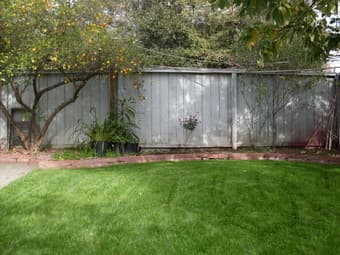 $990 Furnished newly remodeled room for rent in Palo Alto from now 1