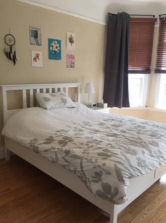2 Rooms Near Duboce Park / Amazing backyard garden 3