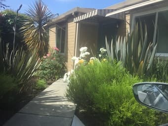 VERY Spacious room available in a VERY spacious and beautiful house! 3