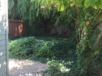 Charming studio/in-law home with private yard/garden PRICE DROP 3