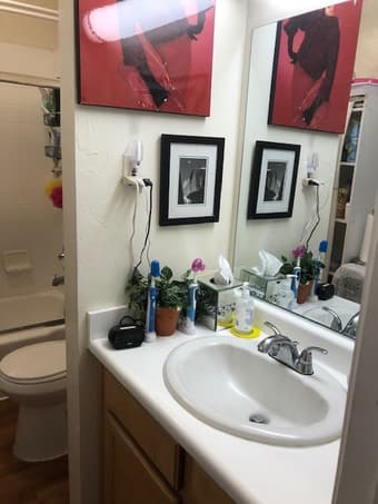 Park SIde, View share with Stanford Nurse Furnished 3