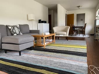Large (furnished optional) 1 Bd/1 Ba in Gorgeous 2 bd/2 ba in downtown 1