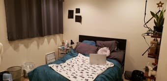 Seeking Roommate for 3 bedroom Redwood City House (near Atherton) 2