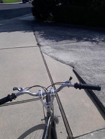 Schwinn Bike 2